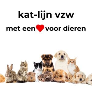 Decoratie